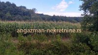 Nekretnina: Boljevac, Rtanj – Jablanica 1ha 28ari i 82kvm ID#19063