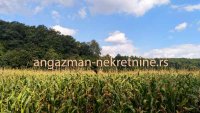 Nekretnina: Boljevac, Rtanj – Jablanica 1ha 28ari i 82kvm ID#19063