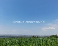 Nekretnina: Rakovac-Vasionski Građevinski Plac 6580 m2 na Salaksijama-065/385 8880