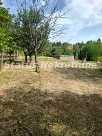 Nekretnina: Čortanovci-Uknjižen Građevinski Plac 1100 m2 sa Vinogradom za Uživanje-065/385 8880