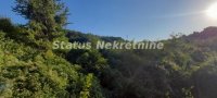 Nekretnina: Čortanovci-Veliki Građevinski Plac 3740 m2 za Probrane-065/385 8880