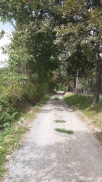 Nekretnina: FRUSKA GORA Lezimir ID: 29397