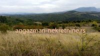 Nekretnina: Boljevac – Vrbovac 12ha 58a 33kvm – 70eur/ar ID#19619