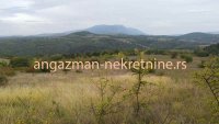 Nekretnina: Boljevac – Vrbovac 12ha 58a 33kvm – 70eur/ar ID#19619