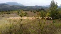 Nekretnina: Boljevac – Vrbovac 12ha 58a 33kvm – 70eur/ar ID#19619