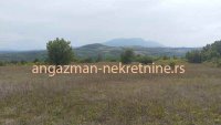 Nekretnina: Boljevac – Vrbovac 12ha 58a 33kvm – 70eur/ar ID#19619