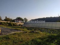 Nekretnina: Sremska Kamenica-Velika Građevinska Parcela 2300 m2 ispod Čardaka-065/3858880