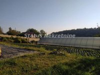 Nekretnina: Sremska Kamenica-Velika Građevinska Parcela 2300 m2 ispod Čardaka-065/3858880