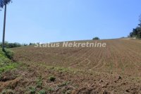 Nekretnina: Extra pogled-Fruška gora- Građevinski plac 8196 m2.