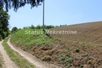 Nekretnina: Extra pogled-Fruška gora- Građevinski plac 8196 m2.