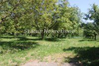 Nekretnina: Fruška gora- plac u Građevinskoj zoni - 3415 m2