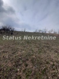 Nekretnina: Petrovaradin-Veliki Građevinski Plac 3625 m2 na Platou Vezirca-065/385 8880