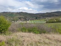 Nekretnina: Ledinci-Lep Plac 1600 m2 u Poželjnom zelenom kraju-065/385 8880