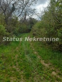 Nekretnina: Ledinci-Lep Plac 1600 m2 u Poželjnom zelenom kraju-065/385 8880