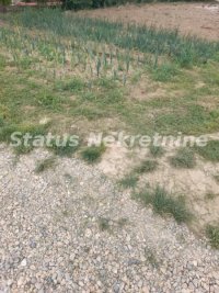 Nekretnina: Futog-lep plac 578 m2 na obodu naselja u novoformiranoj ulici-065/385 8880