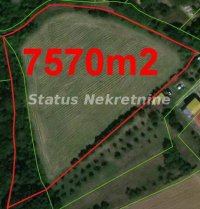 Nekretnina: Irig-Fantastična Velika Parcela 7570 m2 u Krstašici na spuštanju sa Venca-065/385 8880