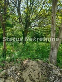 Nekretnina: Irig-Veliki Građevinski Plac 9283 m2 za Posebne kupce-065/3858880