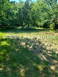 Nekretnina: Petrovaradin-fantastičan građevinski plac 1303 m2 na platou kod televizije-065/385 8880