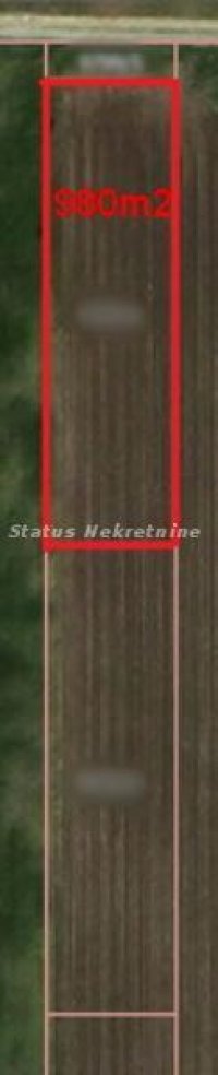 Nekretnina: Futog-lep plac 980 m2 u blizini urbanog dela-065/385 8880