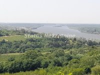 Nekretnina: Banstol-Osunčan Veliki Plac 7500 m2 sa Pogledom na krivinu gde Dunav ljubi nebo-065/3858880