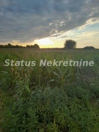 Nekretnina: Futog-lep plac 971 m2 800 metara od urbanog dela-065/385 8880