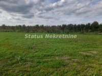 Nekretnina: Sremska Mitrovica-Velika Parcela 43582 m2 u blizini Auto-Puta za Komercijalnu Delatnost-065/385 8880