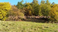 Nekretnina: Boljevac, Rtanj – Jablanica 2ha 66a 71kvm ID#19871