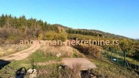 Nekretnina: Boljevac – Rtanj 2ha 29a 62kvm ID#19876