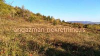 Nekretnina: Boljevac – Rtanj 2ha 29a 62kvm ID#19876