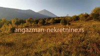 Nekretnina: Boljevac – Rtanj 2ha 29a 62kvm ID#19876