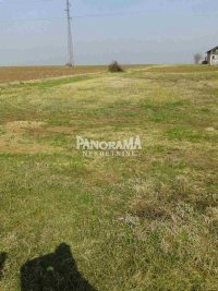 Nekretnina: Hitno!!! Plac u Surčinu, 10 ari, deljiv, uknjženo ID#2129