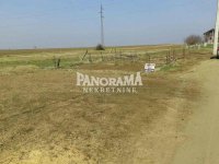 Nekretnina: Hitno!!! Plac u Surčinu, 10 ari, deljiv, uknjženo ID#2129