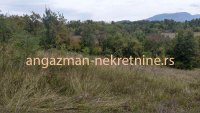 Nekretnina: Boljevac, Rtanj – Vrbovac 63,69ari ID#20343