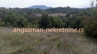 Nekretnina: Boljevac, Rtanj – Vrbovac 63,69ari ID#20343