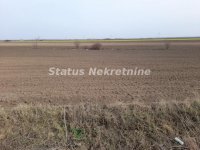 Nekretnina: Parcela 10975 m2 na putu Žabalj-Đurđevo za Biznis-065/385 8880