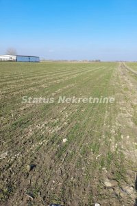 Nekretnina: Futog-*Ekskluziva*-Pogodna Građevinska Parcela 2583 m2 u komadu-065/385 8880