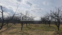 Nekretnina: Gradjevinsko zemljište u Rogači, Kosmaj, Sopot ID#2223