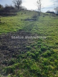 Nekretnina: Sremska Kamenica-Artiljevo-Povoljno Lep Plac 1544 m2 na Fruškoj gori-065/385 8880