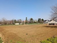 Nekretnina: Čortanovci-Odličan Uknjižen Plac 1681 m2 pogodan za Vikendicu-065/385 8880