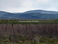 Nekretnina: Novi Futog-Dva Građevinska Placa 1467 m2 u mirnom kraju 100 metara od naselja-065/385 8880