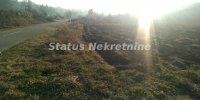 Nekretnina: Sremski Karlovci-Stražilovo-Plac 4696 m2 u Lepom kraju-065/385 8880