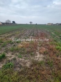 Nekretnina: Futog-Pogodan Građevinski plac 688 m2 u Novom Futogu-065/385 8880