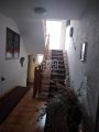 Kća 450m2,plac 7ari-Pantelej ID#1891