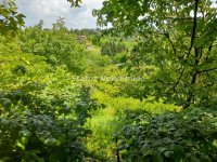 Nekretnina: Banstol-*Super Povoljno*-Veliki Građevinski Plac 2165 m2 u Zelenoj Oazi sa bezplatnom strujom-065/38