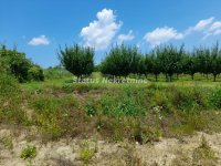 Nekretnina: Vrdnik-Fantastična Građevinska Parcela 3000 m2 na brdu sa Pogledom na Pavlovačko Jezero za Probrane-