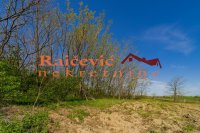 Nekretnina: VOZDOVAC Vojvode Stepe ID: 90401