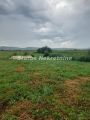 Futog-kvalitetna nezavršena kuća 160 m2 na Velikom Placu 1266 m2-065/385 8880