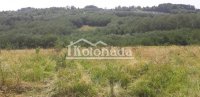 Nekretnina: Gradjevinsko zemljište i šuma u Sopotu ID#6723