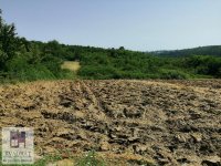 Nekretnina: Građevinski plac 1,6 ha, Čukarica, Umka– 1 100 €/ar