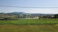Nekretnina: Gradjevinsko zemljište sa zasadom borovnice u Sopotu, Kosmaj ID#7823